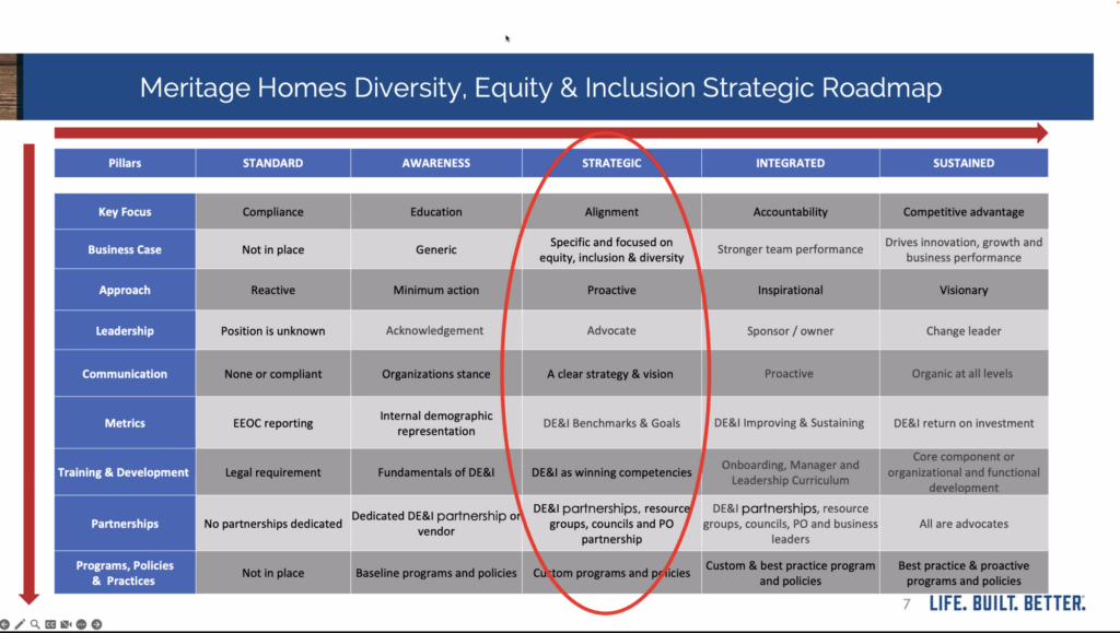 DEI Strategic Roadmap across a variety of pillars and focus areas.